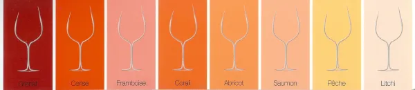 Palette Sommelier à domicile — Merlot, Cerise, Framboise, Corail, Abricot, Saumon, Pêche, Litchi